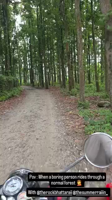boring person ❤️ forests