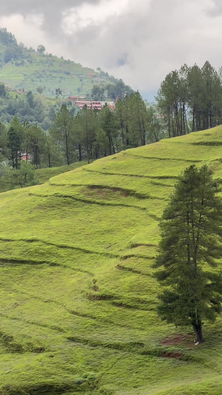 Chitlang Bheda Farm