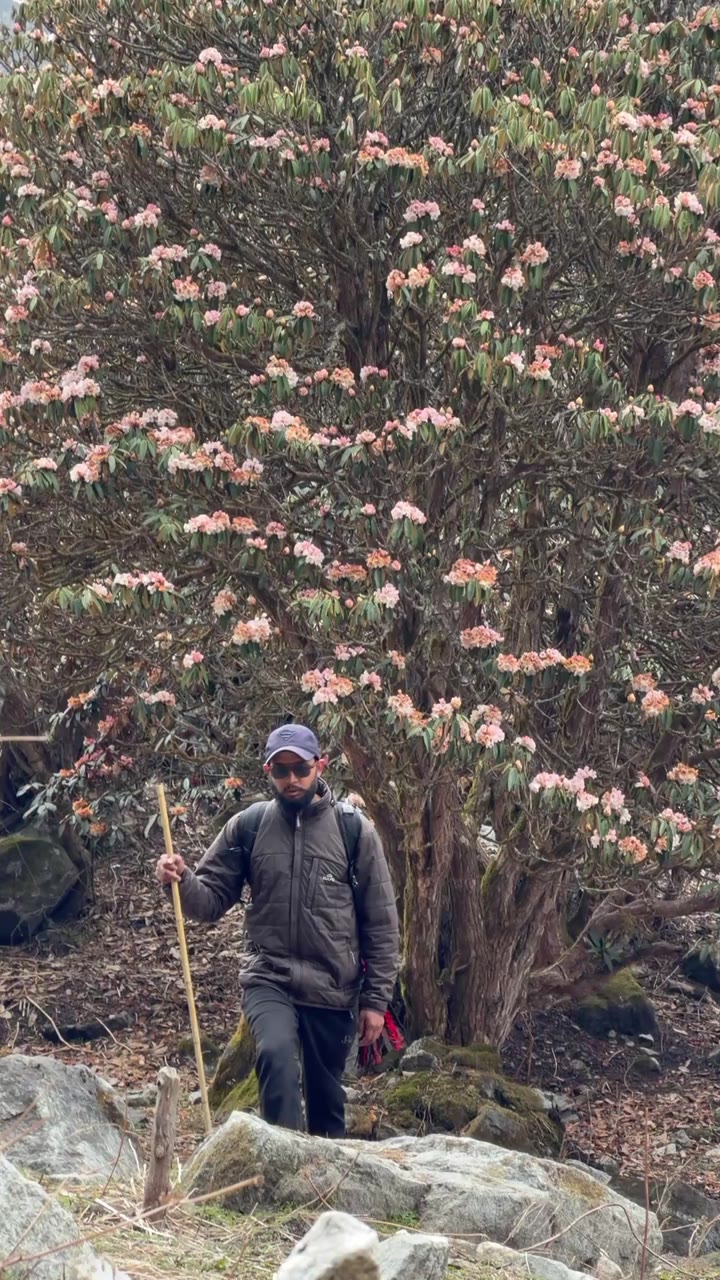 Lyangtang trek ❤️